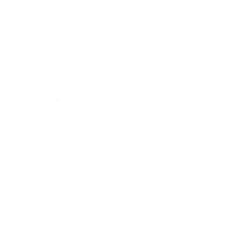 MEG.IA